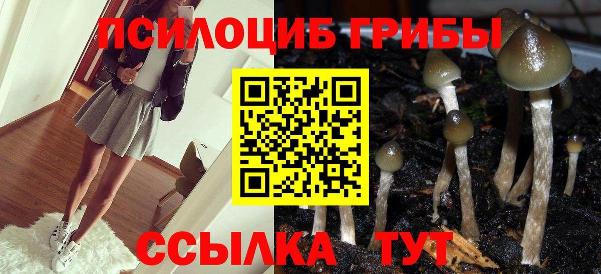 Псилоцибиновые грибы ЛСД  Вход с VPN  Ишим 
