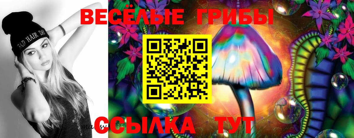 Ишим  МЕФ   ЭКСТАЗИ  LSD-25  Вход с VPN  Наркошоп  Гашиш  Марихуана  Cocaine 